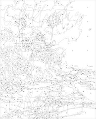 pânză pre-imprimată cu contururi și zone numerotate corespunzător culorilor specifice din setul de pictură pe numere