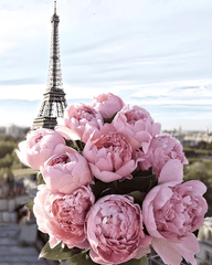 buchet de bujori in fata turnului Eiffel